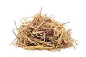hay